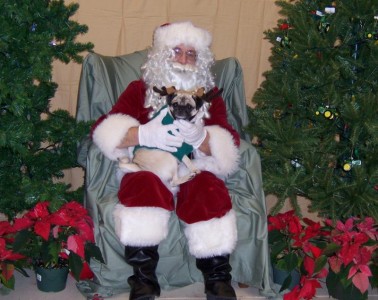 Santa and his Rein-Pug