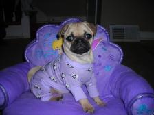 Luci-Liu in her pjs...ready for bed