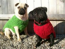 Cute Christmas Sweaters!!!!!!!!!!!