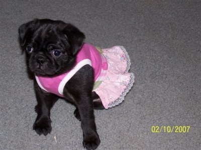 Maggie in her new dress