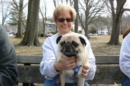 Proud pug mother and her son