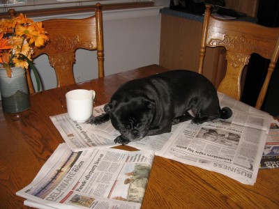 morning coffee and the Saturday paper