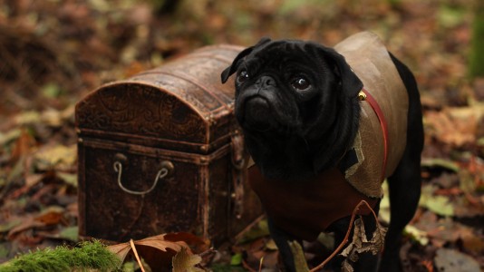 Role Pugging