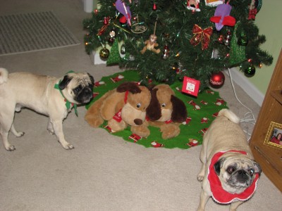 Christmas pugs