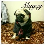 mY bABy mUgzY