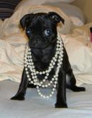 Pretty In Pearls