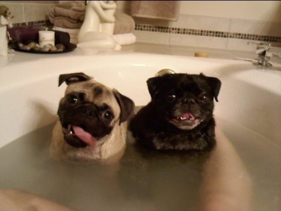 Bath Time