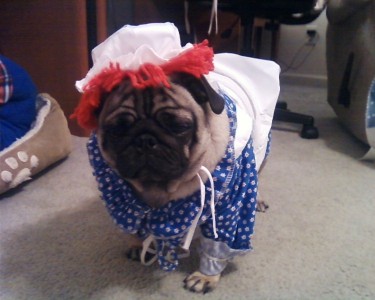 PUG RAGGEDY ANN