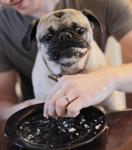 Otis eats his birthday cake