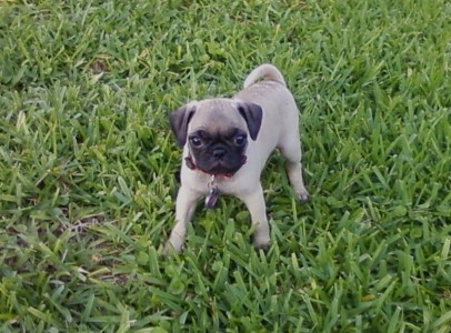 Playing outside