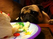 Can I have cake now?