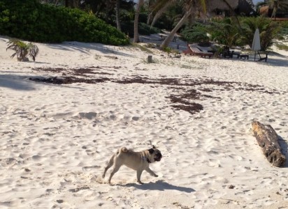 Enjoying the beach!