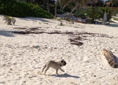 Enjoying the beach!