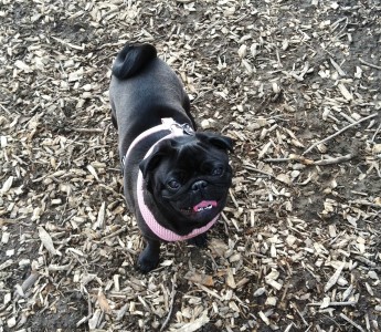 Happy to be at the park!