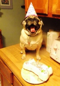 Pugsleys 7th Birthday Party