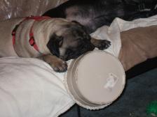 Chew bowl wins-tuckered