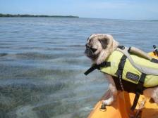 Sammy Kayaking