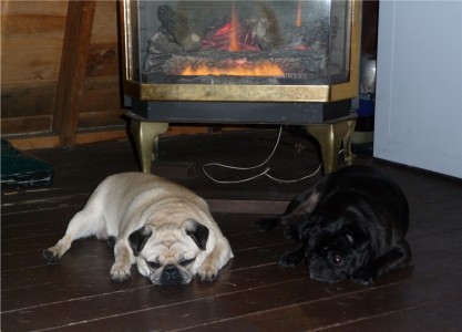 Enjoying the fireplace