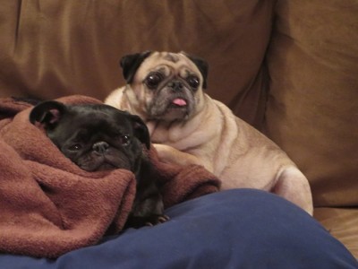 Sticking together in a thunderstorm