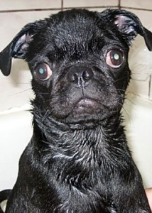 I hate baths!