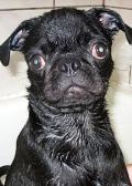 I hate baths!