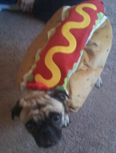 Willie Pug Coney: Hold the onions