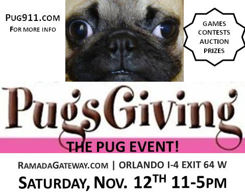 Pug Rescue of Florida's 9th Annual PugsGiving