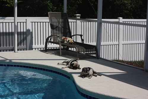 Life is Tough