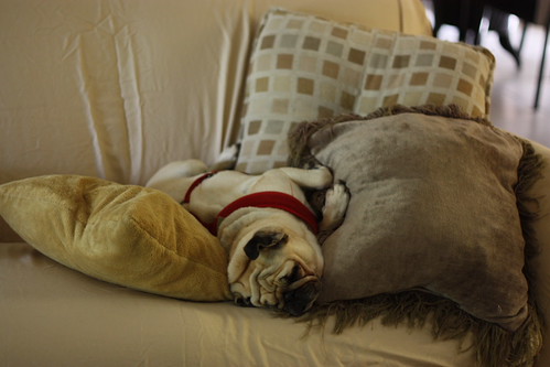 Today's Pillow Configuration