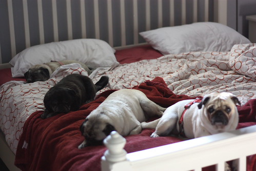 Sleepy Heads