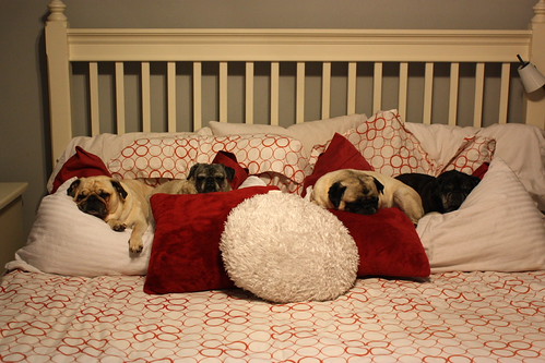 Waiting out the Storm