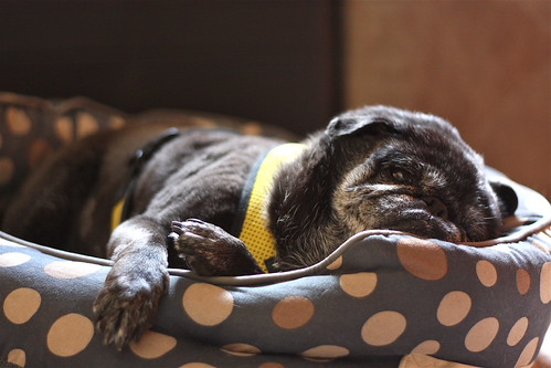 How She Spends Her Days