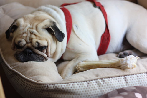 How Quickly Things Change