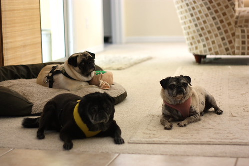 All Eyes on the Kitchen