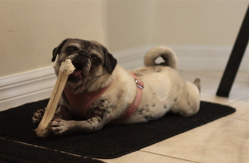 Entertaining Herself