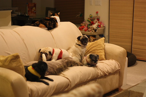 Getting Ready for Idol