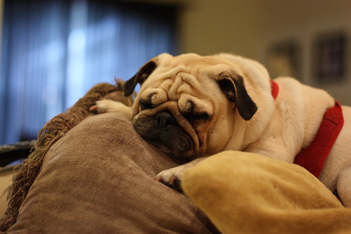 Benny Bag O' Wrinkles