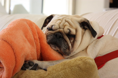 Benny Bag O' Wrinkles