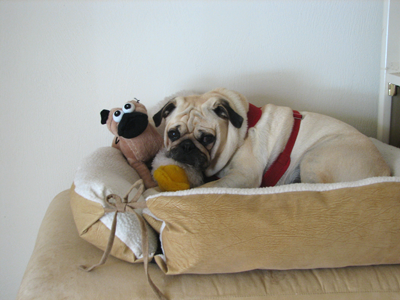 Benjamin in his bucket
