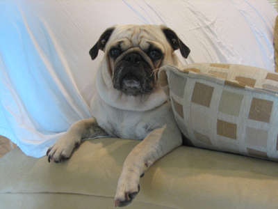 Benjamin is feeling better