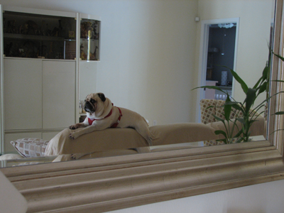 Benjamin looking at himself in the mirror