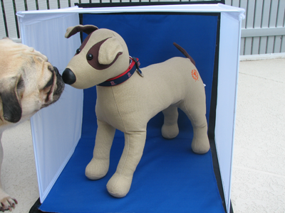 Benjamin meeting the doggie mannequin