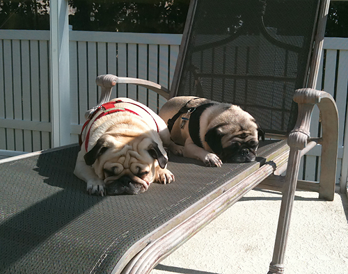 Benjamin and Henry