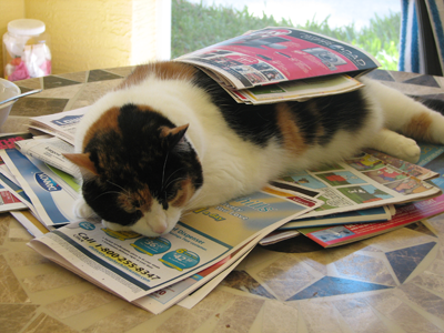 Cupid reading the paper
