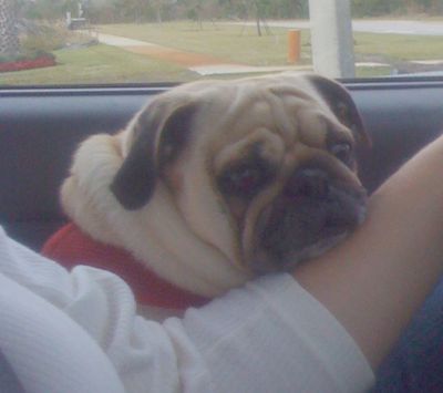 Benjamin on the way to get his teeth cleaned